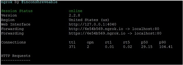 Fig: ngrok command output